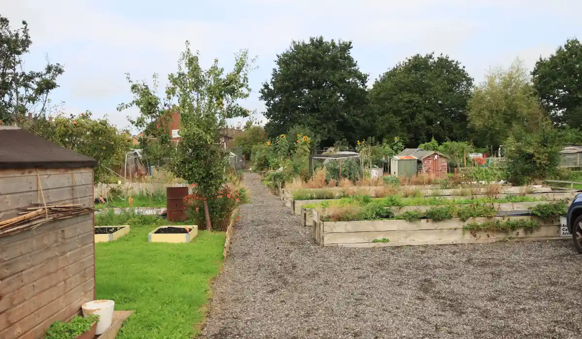 Landscape Fabric in Vegetable Garden