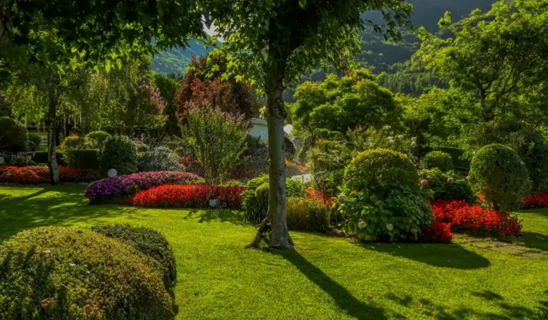 Quality Landscape