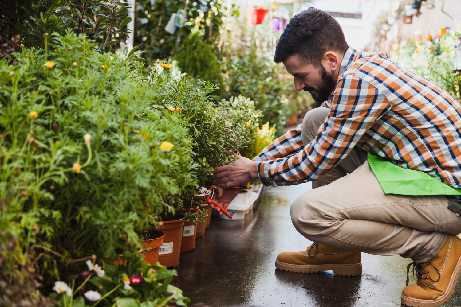 How to Upgrade My Garden HomeMendous